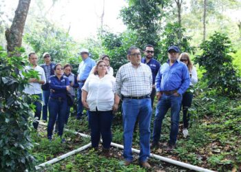 Alianzas con iniciativa privada para el desarrollo agrícola en San Juan Sacatepéquez