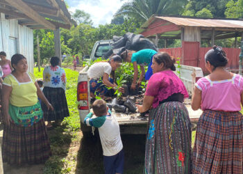 Avanza la educación agroforestal en Petén
