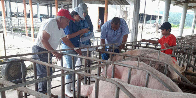Brindan asistencia técnica en Melchor de Mencos