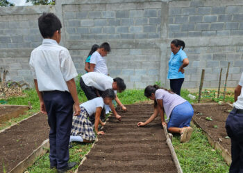 Brindan asistencia técnica para huertos escolares en San Francisco, Petén