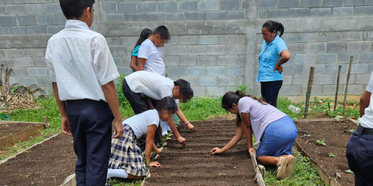 Brindan asistencia técnica para huertos escolares en San Francisco, Petén