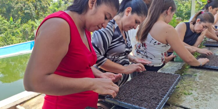 Capacitan a mujeres en producción de invernadero