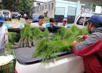 Celebran con reforestación Día Nacional de la Juventud