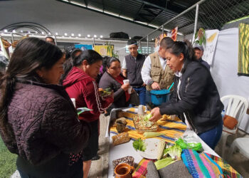 Celebran el Día Nacional del Maíz en San Marcos