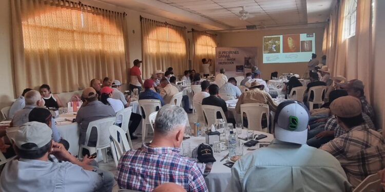 Coordinan acciones para control del gusano barrenador