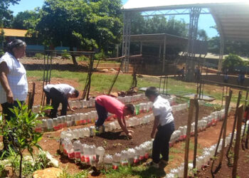 En Santa Rosa implementan huertos escolares