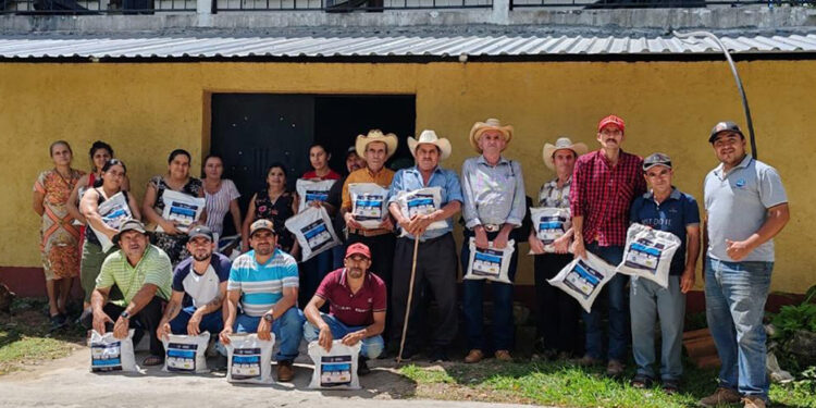 Entregan de semilla mejorada en San Juan Ermita