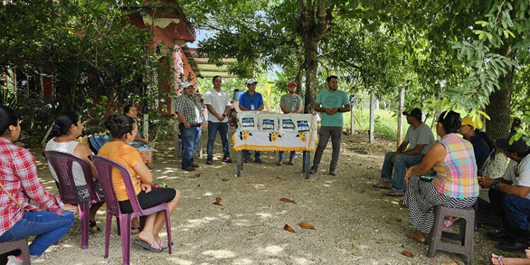 Entregan semilla certificada de Sorgo