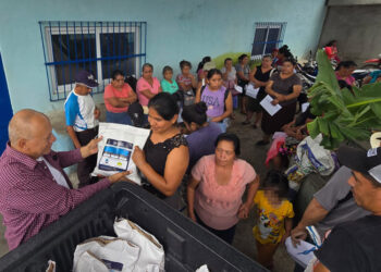 Entregan semillas de sorgo a pequeños agricultores y agricultoras