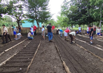 Establecen huerto escolar en San Francisco, Petén