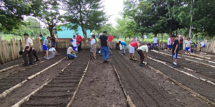 Establecen huerto escolar en San Francisco, Petén