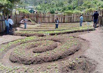 Estudiantes y docentes de Chiantla fortalecen conocimientos en agricultura sostenible