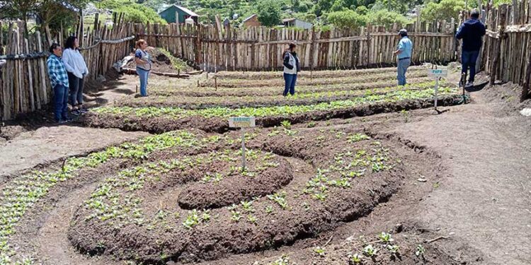 Estudiantes y docentes de Chiantla fortalecen conocimientos en agricultura sostenible