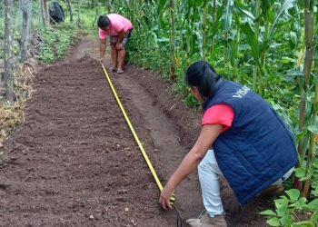 Familias de Jalapa que han impulsado proyectos reciben alimentos