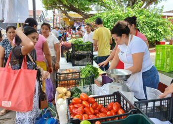 Feria del Agricultor continúa apoyando la producción agropecuaria y economía