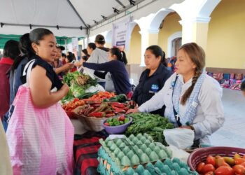 Feria del Agricultor la ventana de la Agricultura Familiar