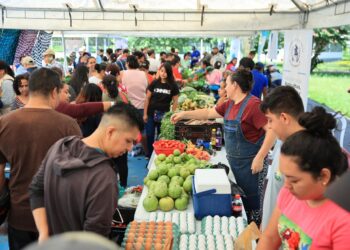 Feria del Agricultor se realiza con éxito en la zona 5 capitalina