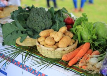 Ferias del Agricultor de julio reúnen a 519 productores