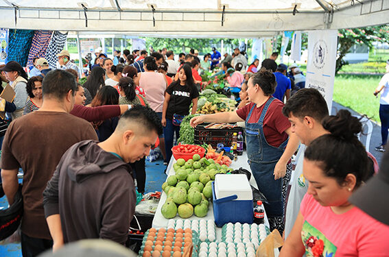Ferias del Agricultor generan ventas por más de un 1.6 millones de quetzales