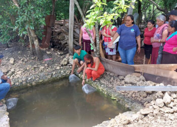 Fortalecen crianza de tilapia San Andrés, Petén
