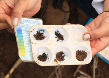 Guatemala ingresa a red mundial de laboratorios de suelo