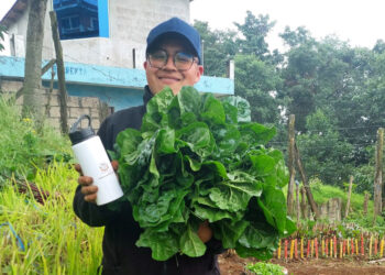 Huertos escolares dan primeras cosechas