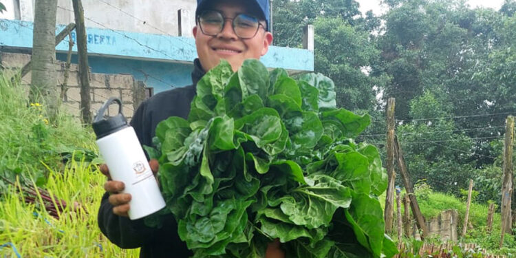 Huertos escolares dan primeras cosechas