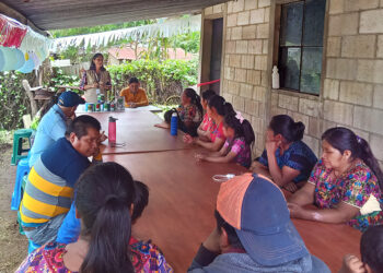 Importancia de los huertos familiares en la seguridad alimentaria