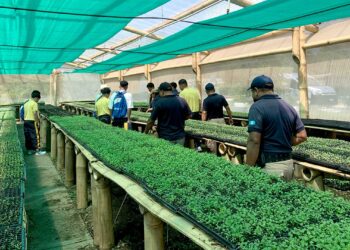 Jóvenes del Nuevo Modelo de Gestión Juvenil conocen Granja Integral Agropecuaria