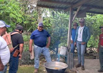 Peteneros aprenden la elaboración artesanal de láminas de cera