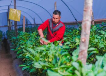 Presentan resultados del proyecto de Apoyo al Plan de Desarrollo Integral (PDI) para Centroamérica