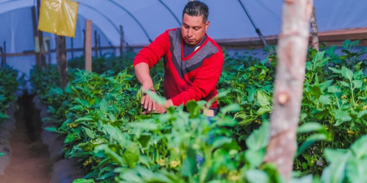 Presentan resultados del proyecto de Apoyo al Plan de Desarrollo Integral (PDI) para Centroamérica