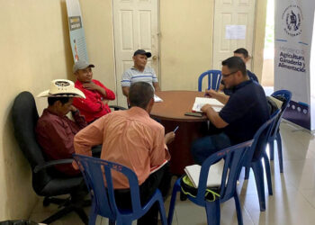 Productores de Jocotán aprenden estrategias de comercialización