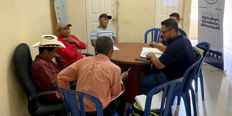 Productores de Jocotán aprenden estrategias de comercialización