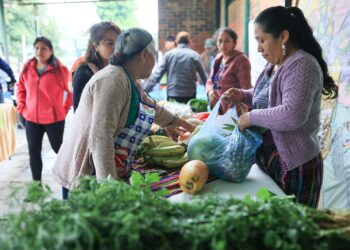 Productores de ocho municipios participan en Feria del Agricultor de Sacatepéquez