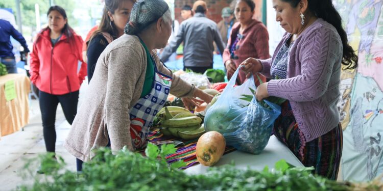 Productores de ocho municipios participan en Feria del Agricultor de Sacatepéquez