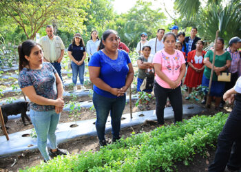 Programa Pro-Resiliencia beneficia a seis mil hogares