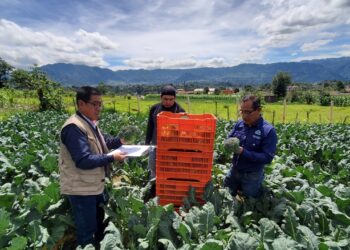 Realizan monitoreo de precios de productos en San Marcos