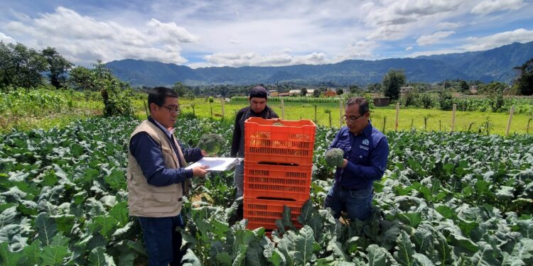 Realizan monitoreo de precios de productos en San Marcos
