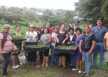 Se brinda seguimiento y asistencia técnica a huertos familiares de Villa Nueva