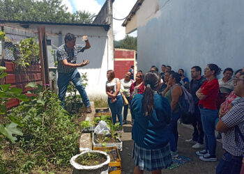 Se impulsa la agricultura urbana en escuelas de Amatitlán y Villa Nueva