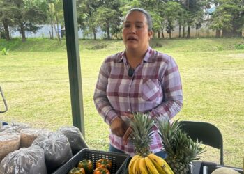 Siembra una parcela y cosecha una empresa familiar