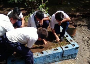 Verifican áreas para implementar huertos escolares en Santa Rosa