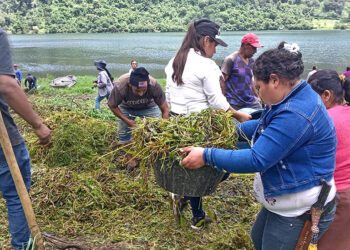 Verifican proyectos comunitarios para impulsar el desarrollo rural