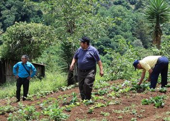 Visita de seguimiento a biofábrica de Santiago Sacatepéquez