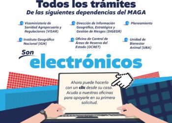 Los trámites al público ahora son digitales