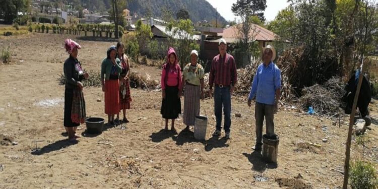 Agricultoras quetzaltecas aprenden a producir pilones de hortalizas