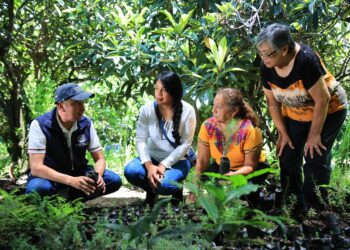Ampliación de convocatoria ayudará a fortalecer el extensionismo rural