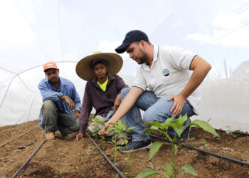 Ampliada convocatoria para profesionales extensionistas