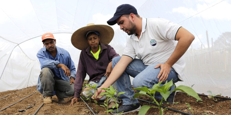 Ampliada convocatoria para profesionales extensionistas